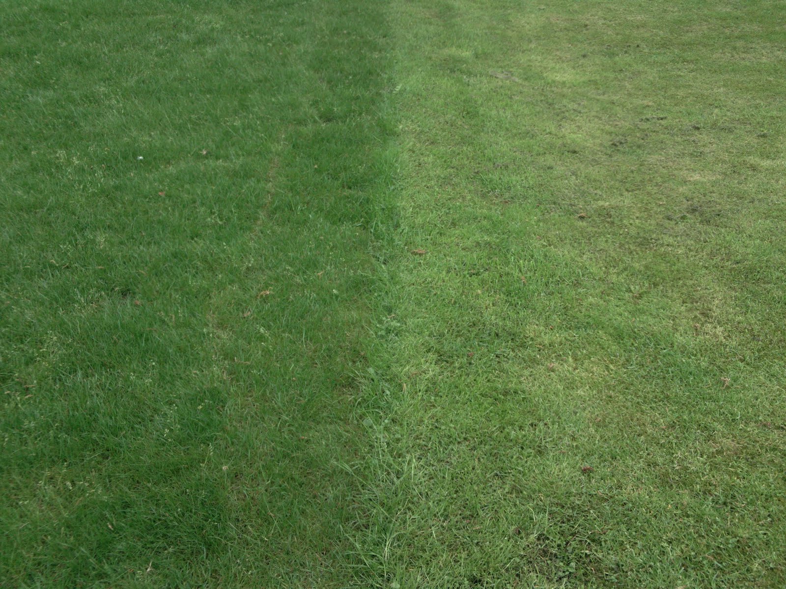 SUPERLEUK Het gras is groener bij de buren. Echt!