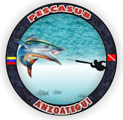 GALERIA PESCALOAPULMON ANZOATEGUI