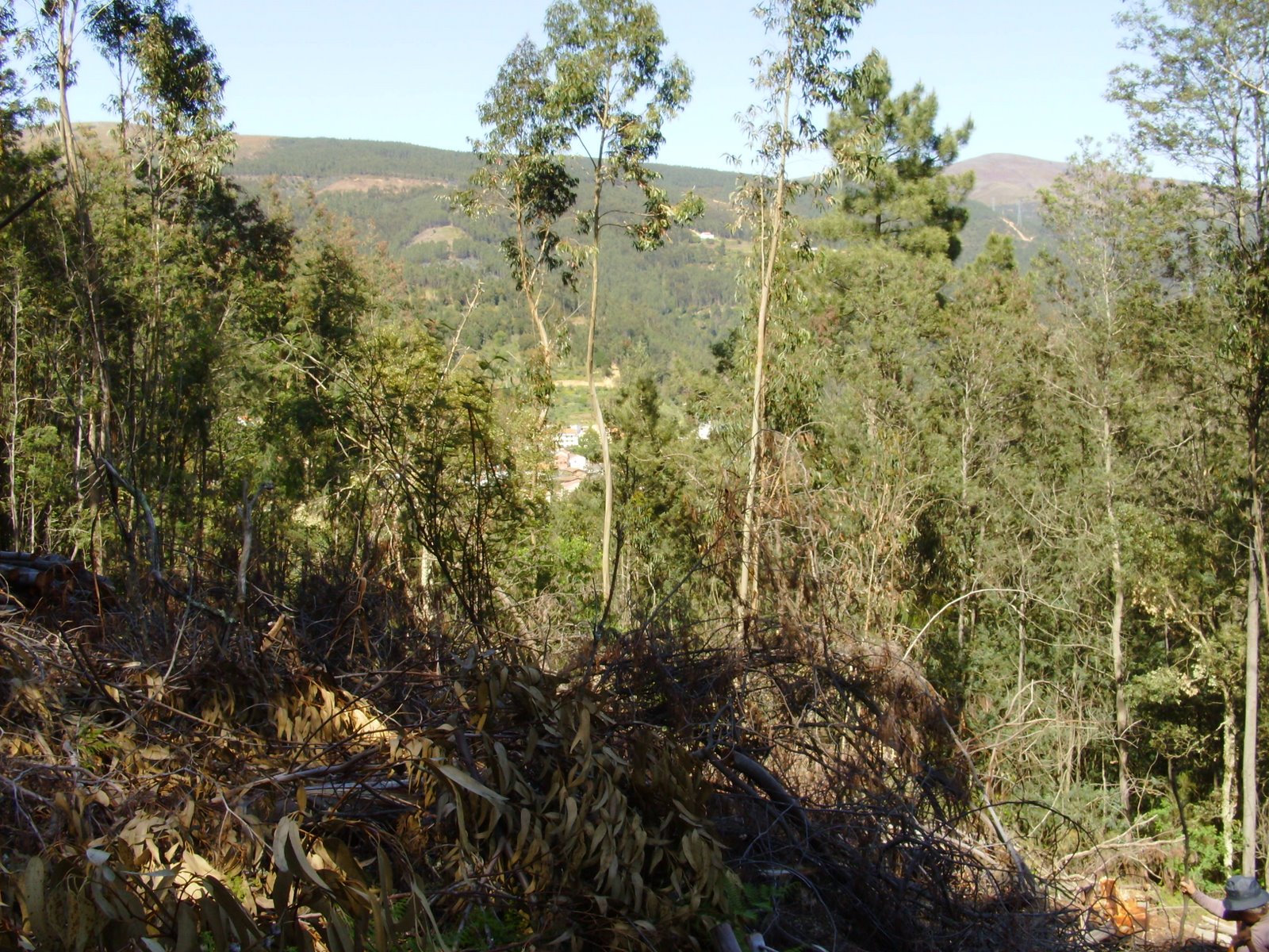 [caddafas+sandinha.JPG]