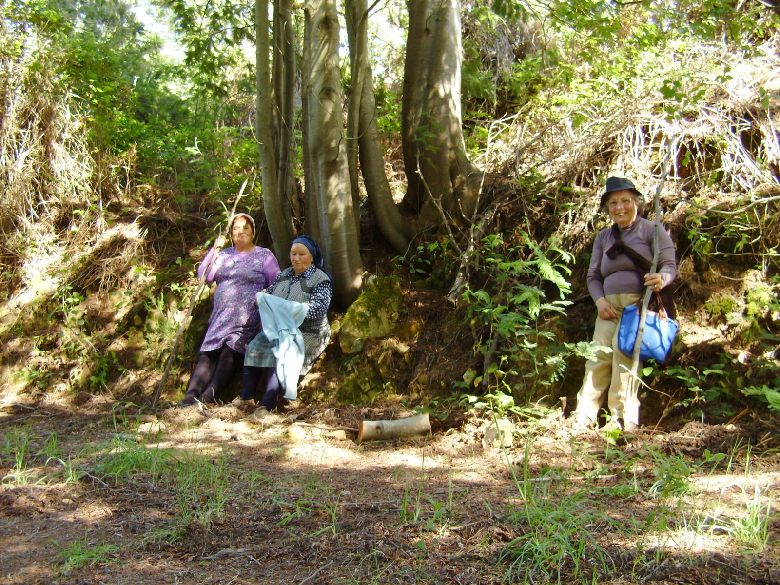 [caddfas+descanso.JPG]