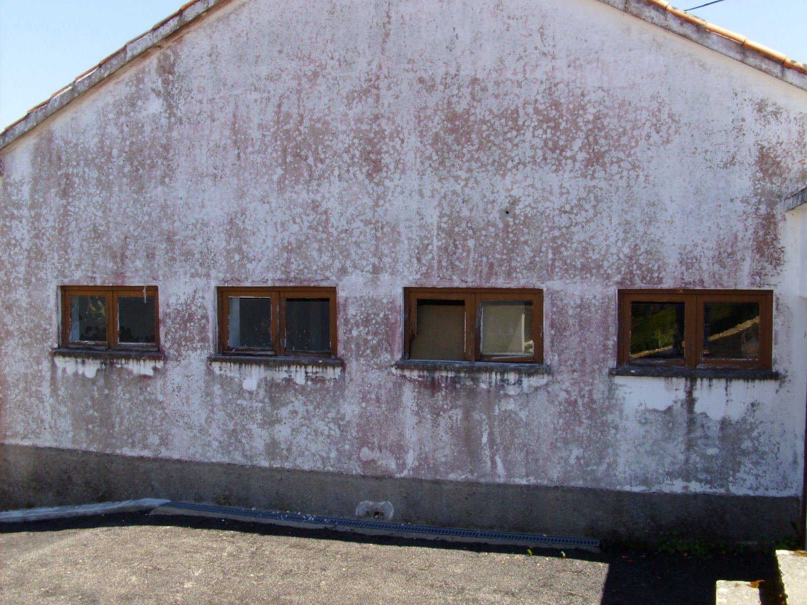 [cada+convivio+1.JPG]