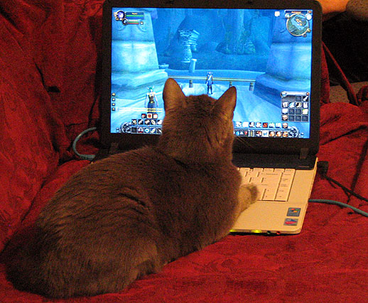 World of Warcraft Obsession by Stacina from flickr (CC-NC-SA)