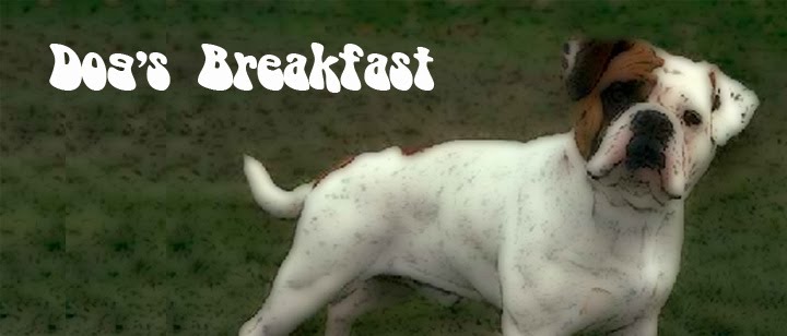 Dog's Breakfast