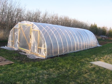 Something Wicked Comes Teotwawki Style Greenhouse Something Wicked Comes Teotwawki Style Greenhouse
