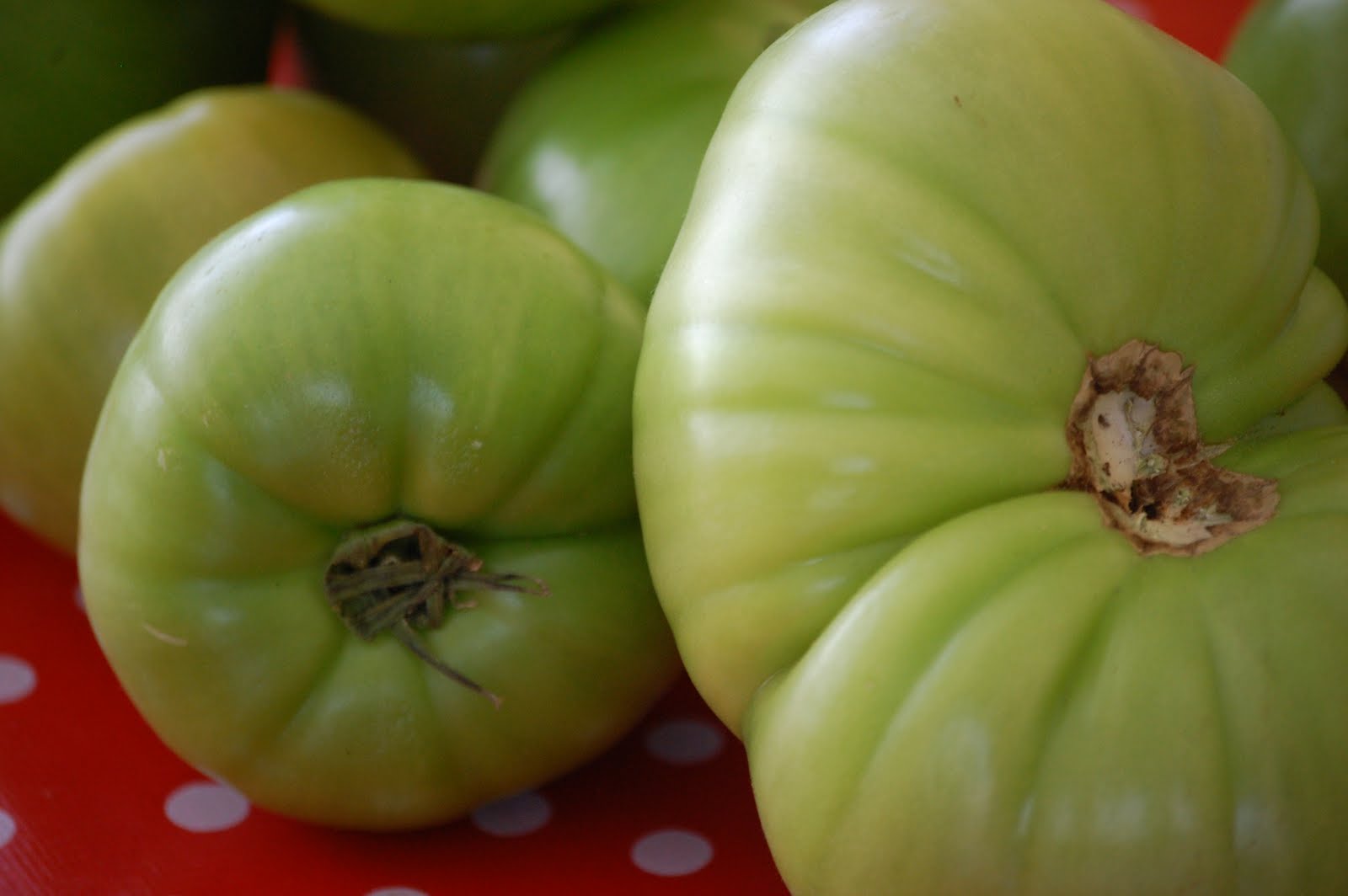 A Girl, a Market, a Meal... At Market...Green Tomatoes