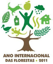 2011 Ano Internacional das Florestas