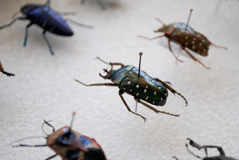 Illuminated Perfume A Bugs Life