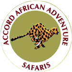 Accord African Safaris