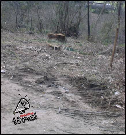 [Vilela+Geopalavras.jpg]