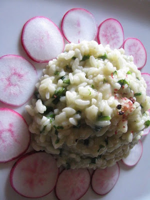 Risotto con foglie di ravanelli | Ombra nel portico