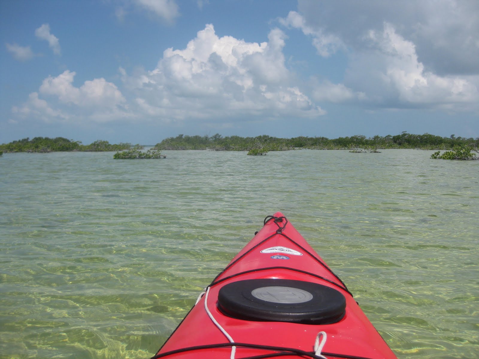 Dave's Yak Tales Coupon Bight, Big Pine Key