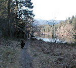 Puntledge Trail