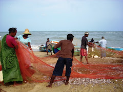 අපිම අදින මාළු අපිට නෙමෙයි යාළු