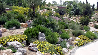 RefugiosVerdes: ROCK GARDEN O JARDINES ROCOSOS