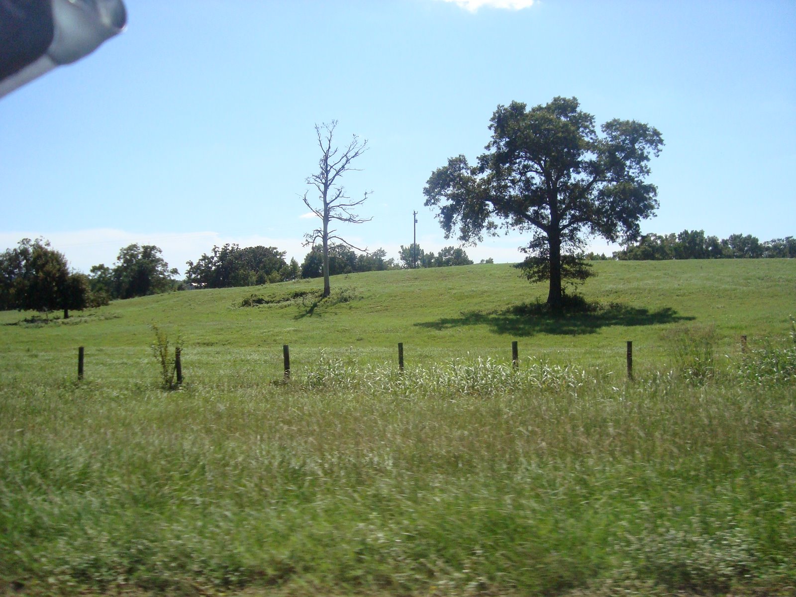 [DSC07693.JPG]