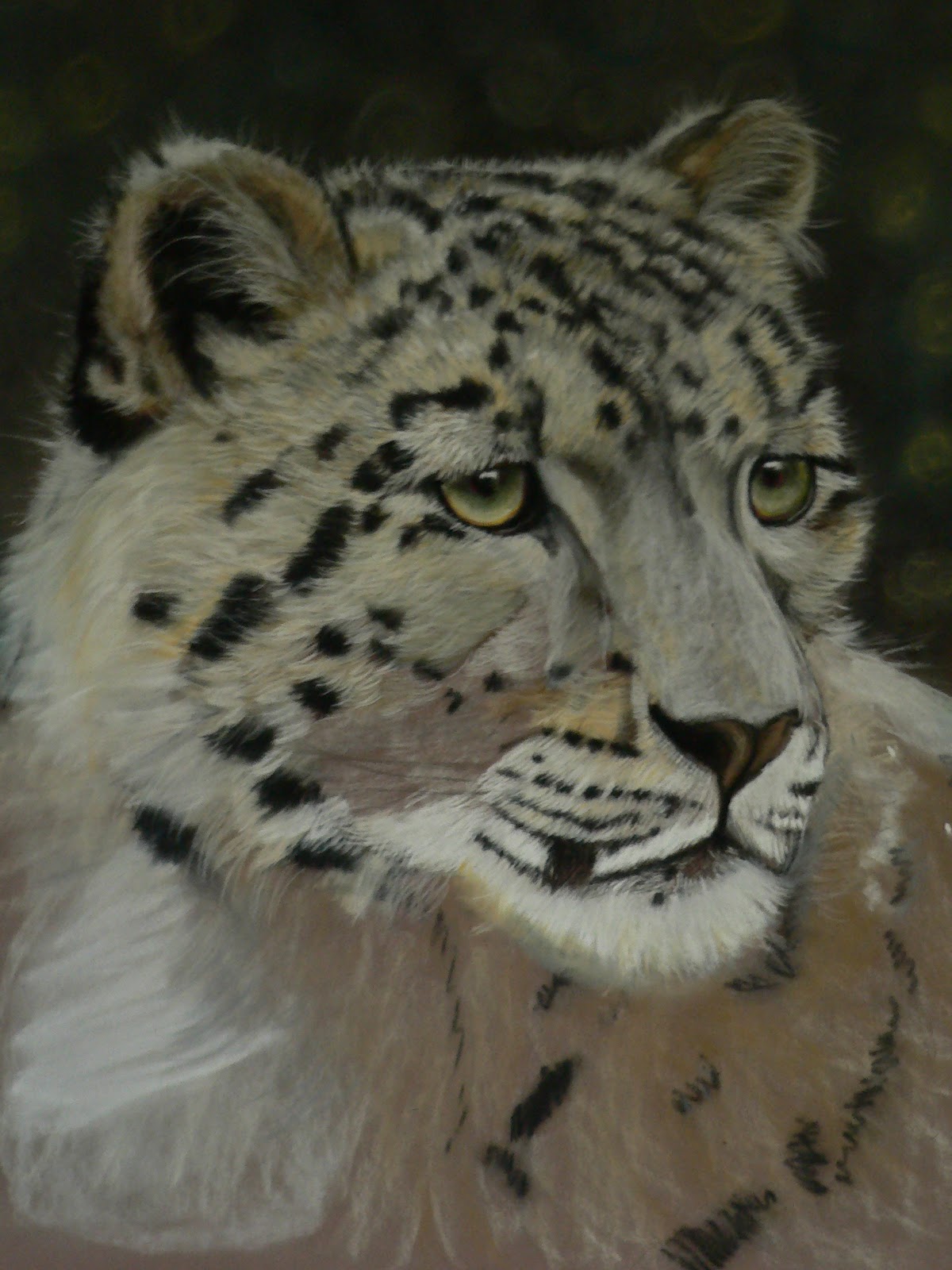 Pencilpix by Sue Clinker: 22/10: SNOW LEOPARD - PASTELS ON PASTELMAT