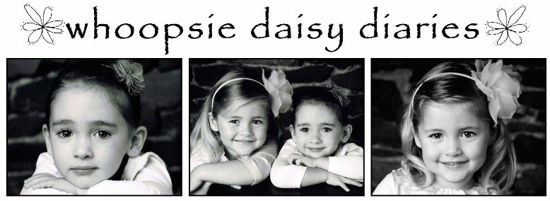 Whoopsie Daisy Diaries