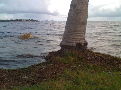 EYE ON MIAMI: Super High Tide in Miami, Moon Phase or Global Warming