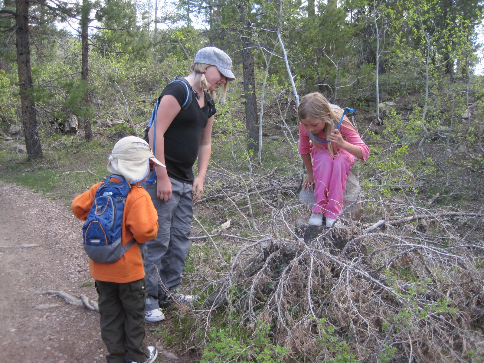 The GOOMsters Mushroom Hunting