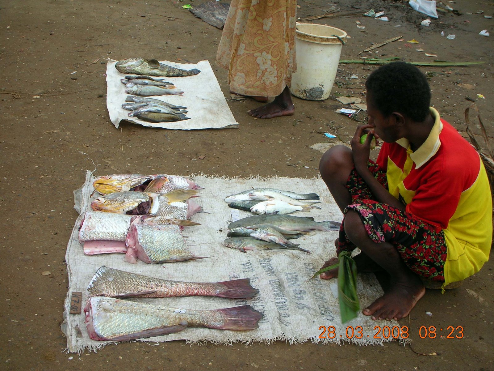 [Fresh+fish+on+sale+in+Daru.+Nationalpic+by+MALUM+NALU..JPG]