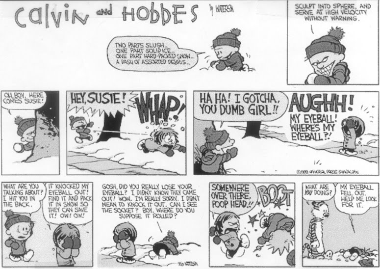 [Calvin+and+Hobbes2.jpg]