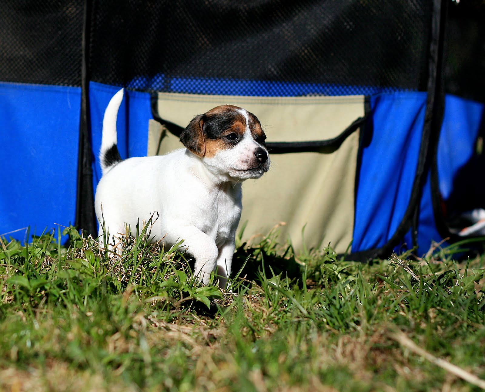 IMG_6225.JPG