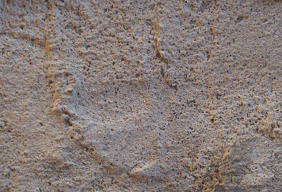 Free Texture concrete cement