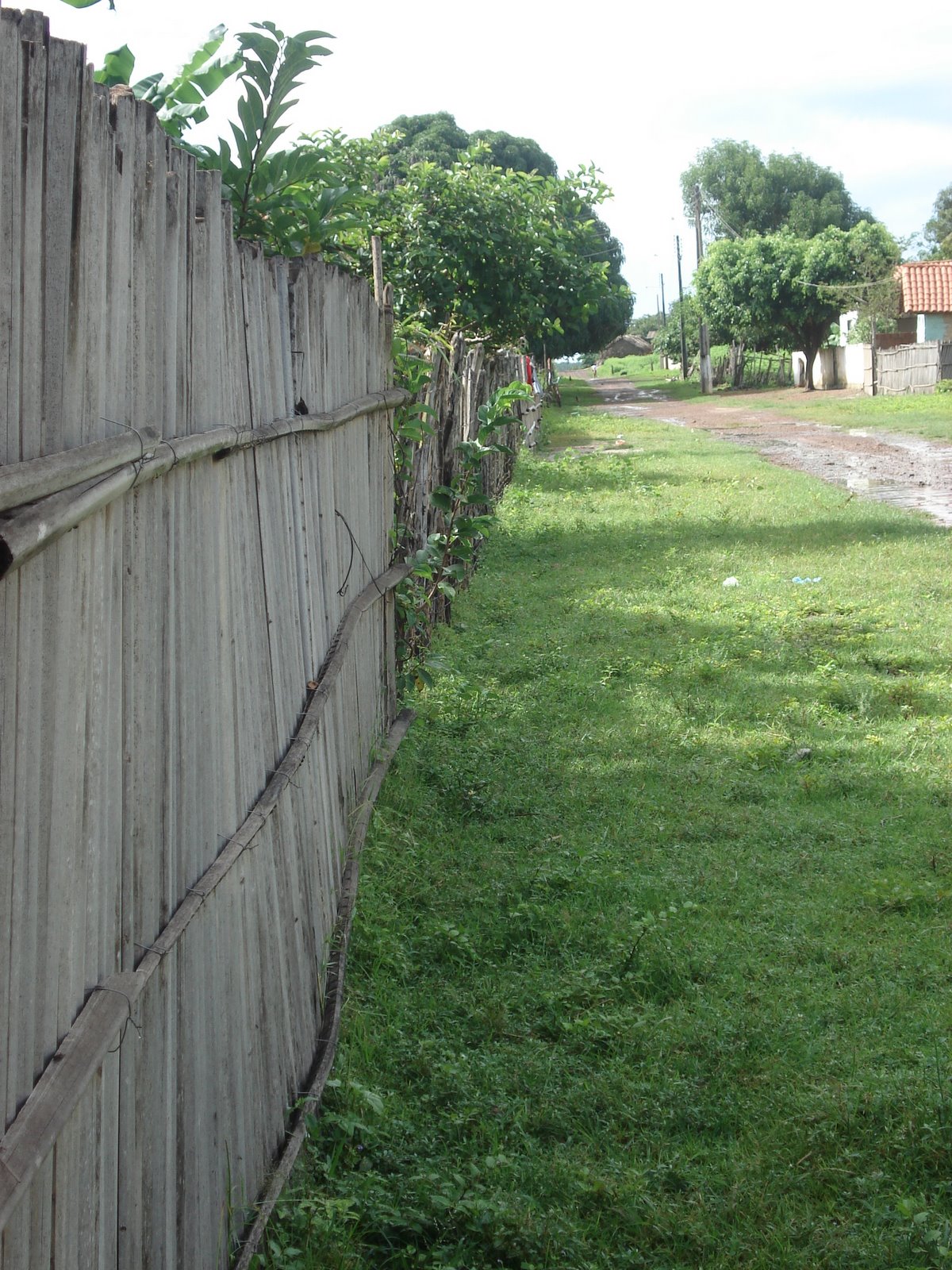 [DSC09882.JPG]