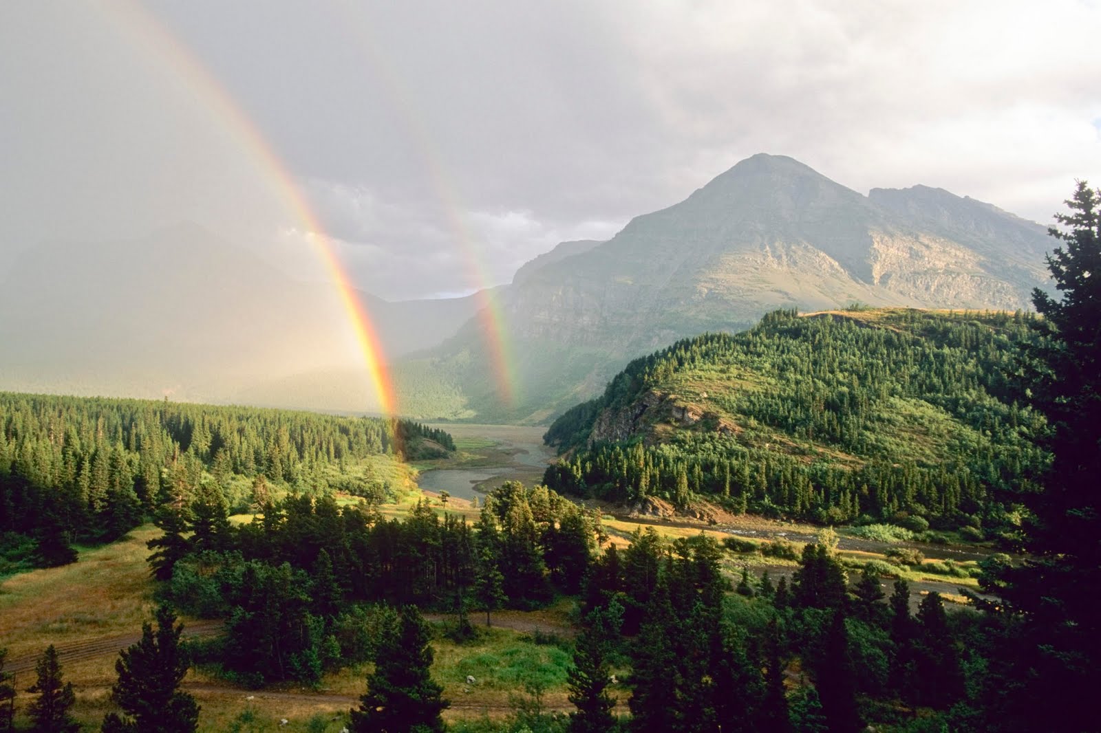 Wallpaper Wynn | New hd wallon