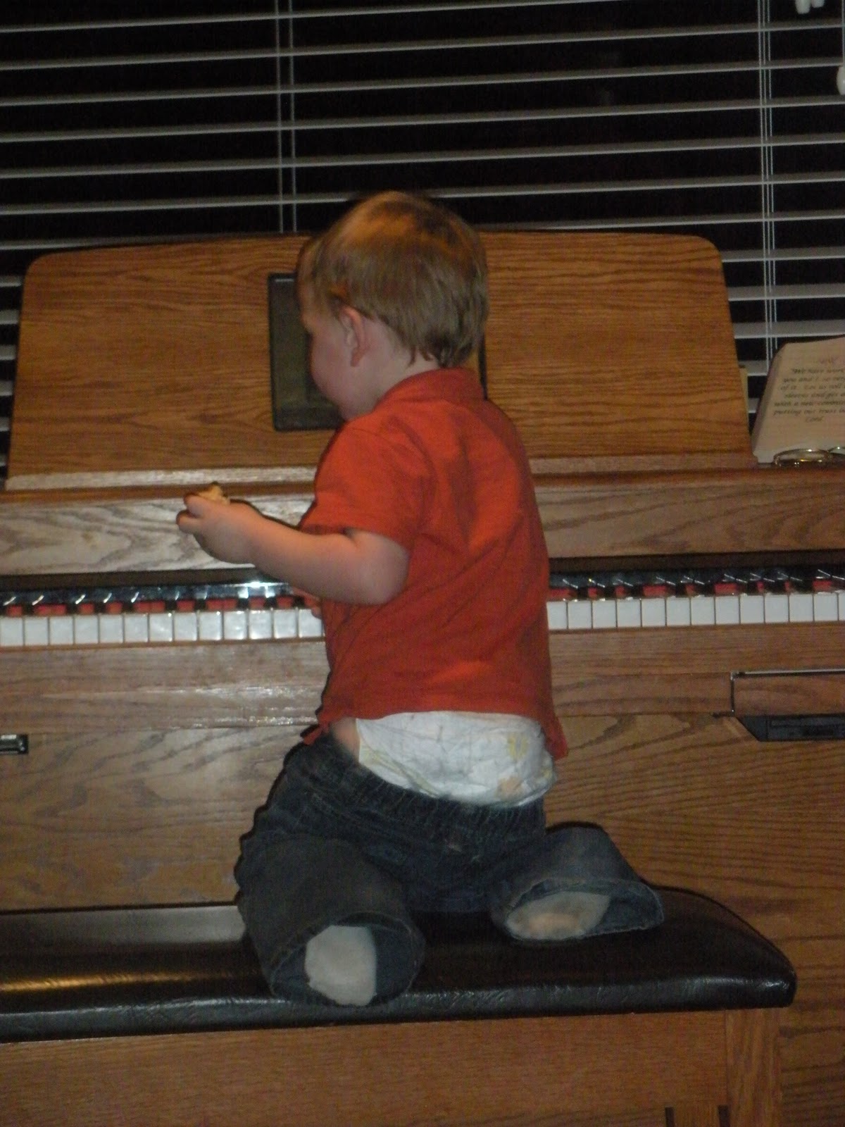 I'm Not Short... I'm Fun Size!