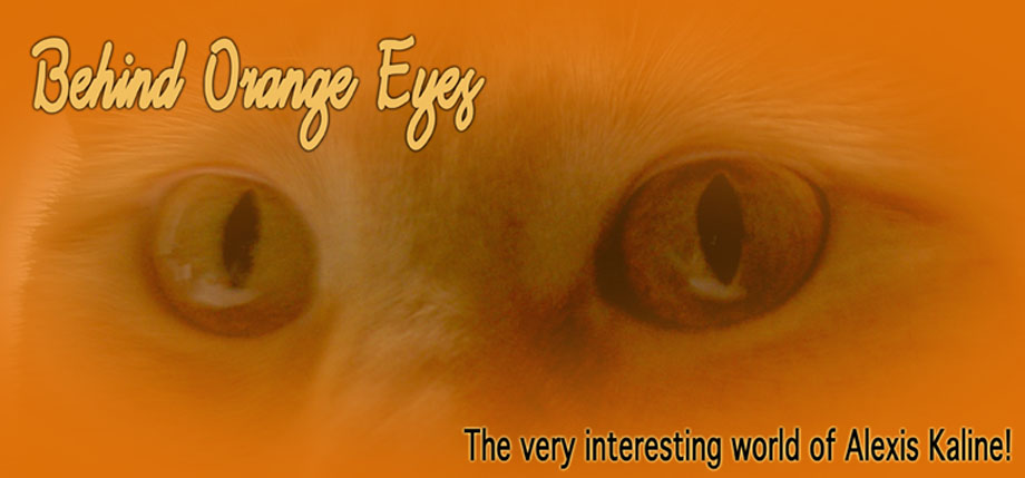 Behind Orange Eyes
