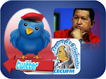 Síguenos por el "Candanga Twitter" "@colectivocecufm"  y también por Chavez Candanga