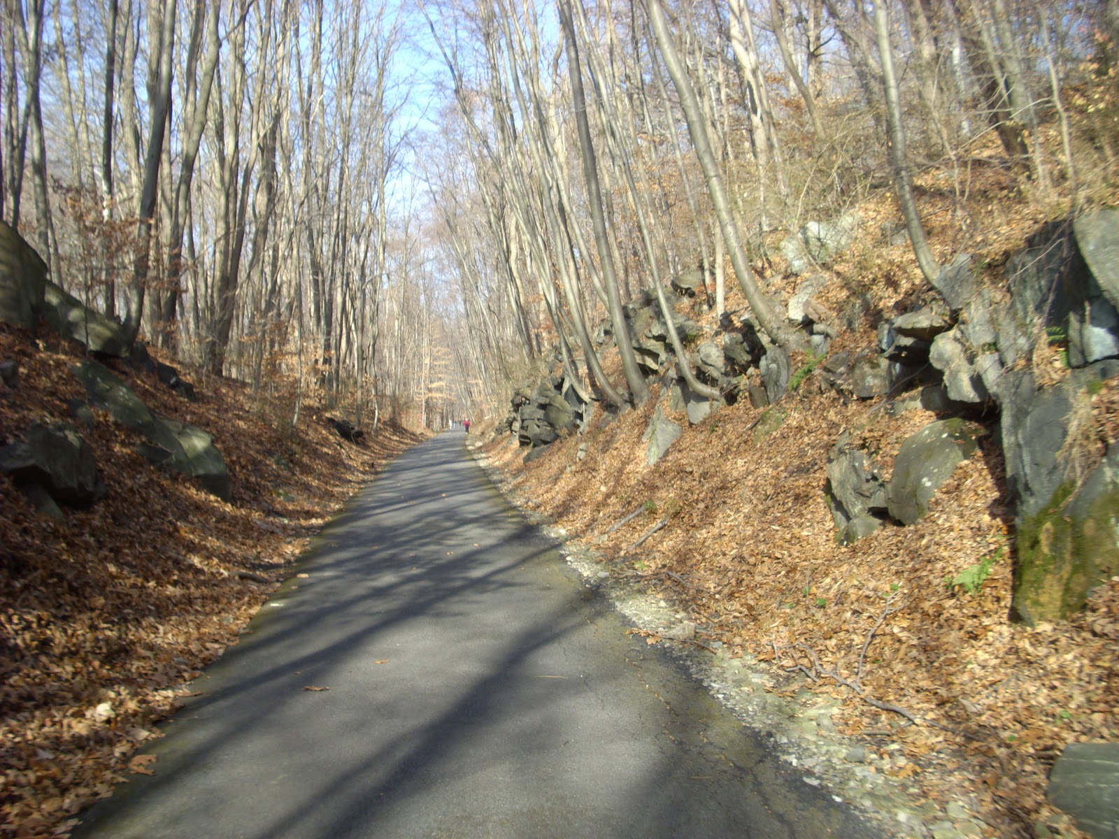 Cyclesnack Tandem TrailaBiking the North County Trail Way