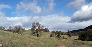 Spenceville Wildlife Area