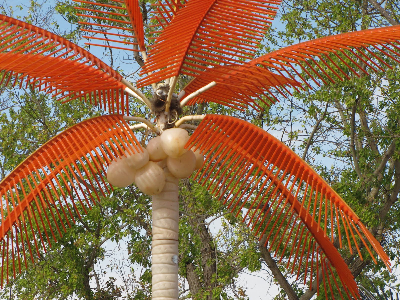 Sweet Annabelle Kentucky Palm Trees