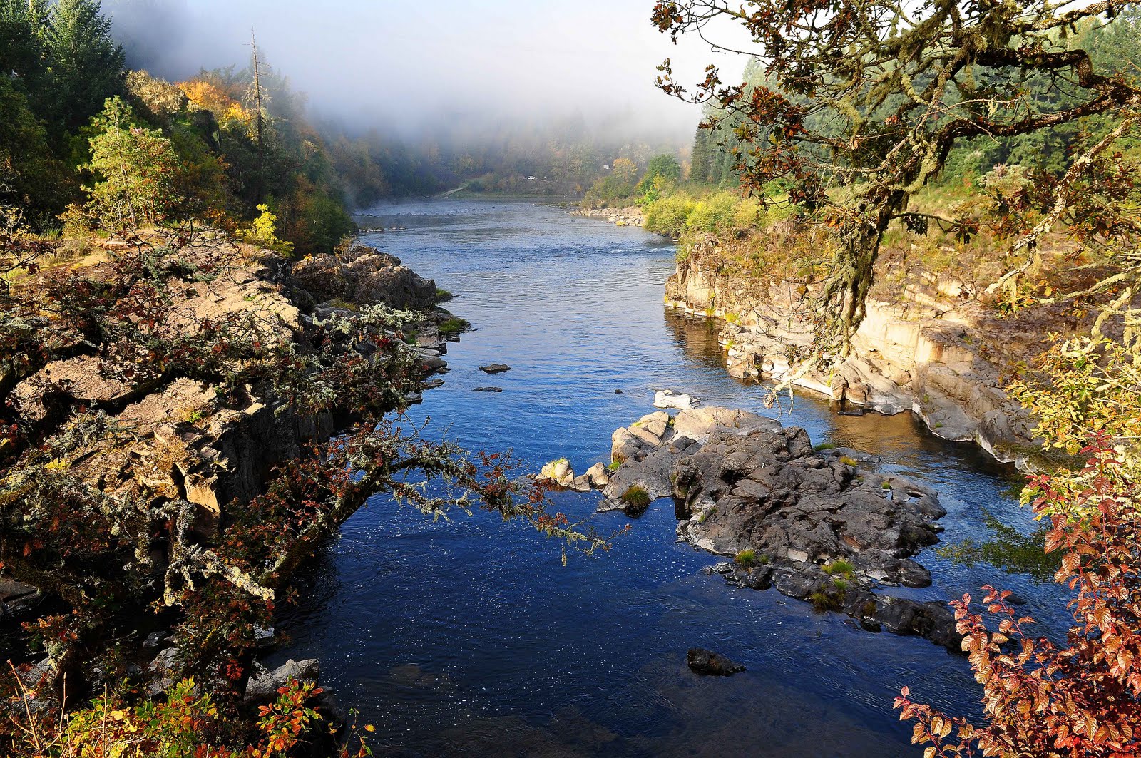Nikon Sniper Colliding Rivers In Glide, Oregon