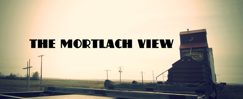 The Mortlach View