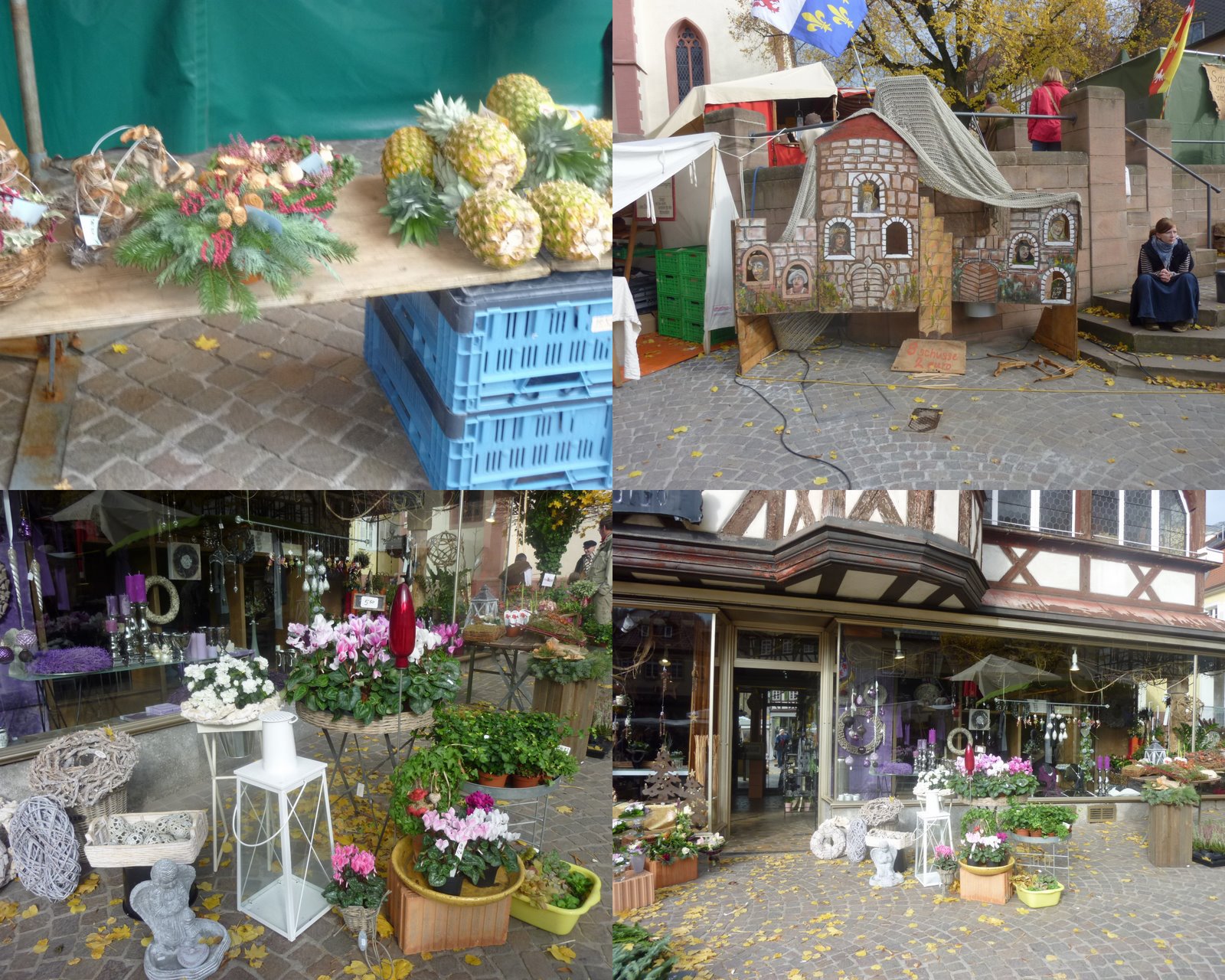 Dies Und Das Vom Neckarstrand November 2010