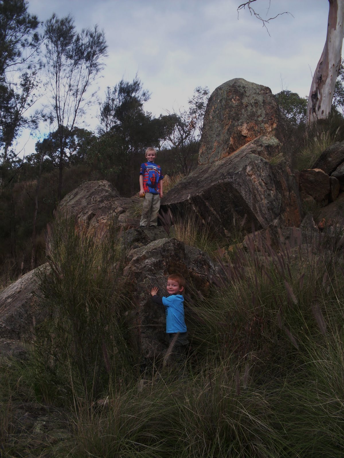 Bushwalks Bells rapids