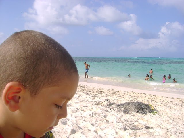 ALQUILO APARTAMENTO EN SAN ANDRES ISLAS