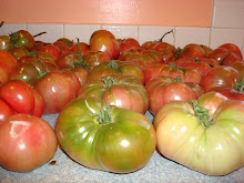 Monstrous Heirloom Tomatoes