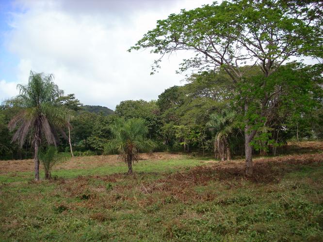 Playa Rio Y Monta a Las Quintas 5000 M2 Totalmente Planas