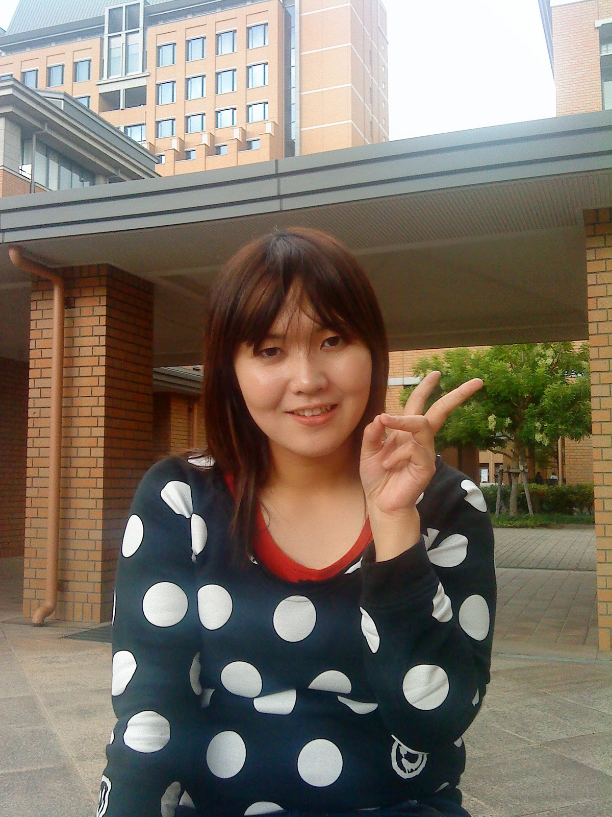 nihon ni imasu: Japanese People