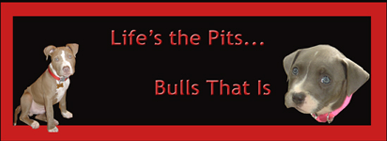 Life's the Pits... Bulls that is