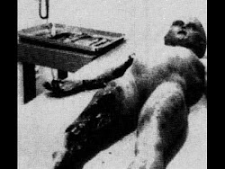 THE ROSWELL' FOOTAGE