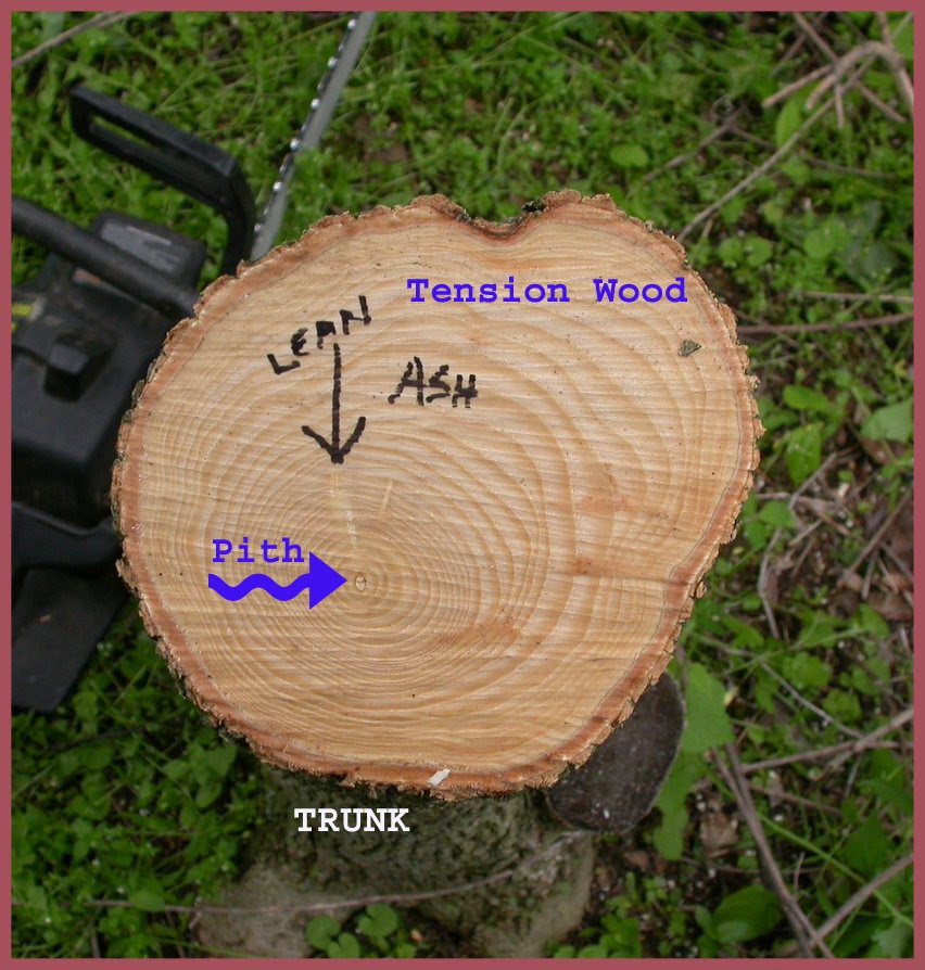 A Bodger's Blog Reaction Wood