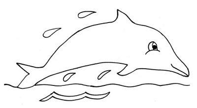 Desenhar golfinho