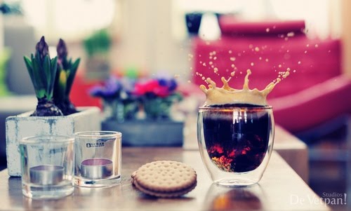 [0535_de-vetpan-studios.jpg]