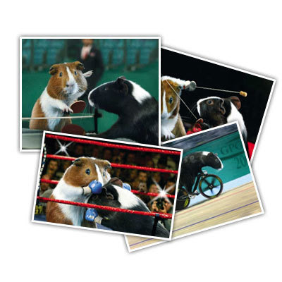 Porquinho-da-Índia - Jogos Olímpicos 