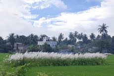 န Serampore, 15 September :